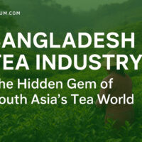 Bangladesh Tea Industry: The Hidden Gem of South Asia’s Tea World