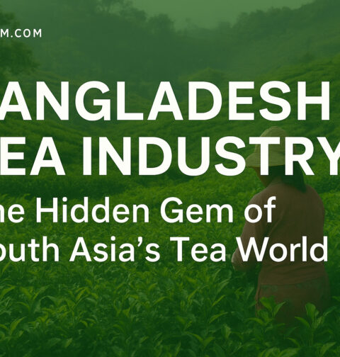 Bangladesh Tea Industry: The Hidden Gem of South Asia’s Tea World