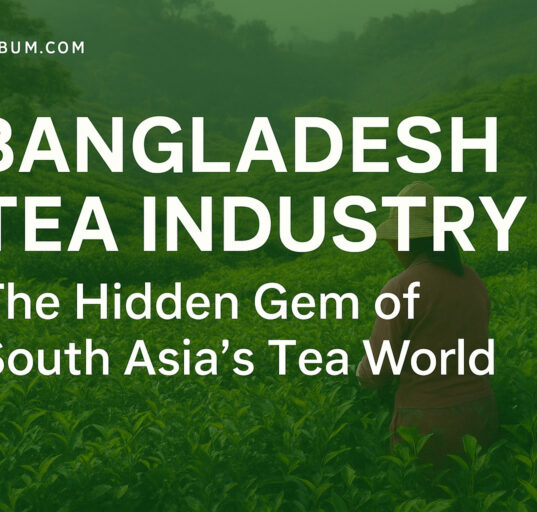 Bangladesh Tea Industry: The Hidden Gem of South Asia’s Tea World