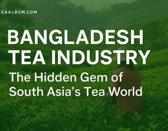 Bangladesh Tea Industry: The Hidden Gem of South Asia’s Tea World