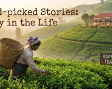 Hand- picked stories: A day in the life at Kapnapahar Tea Estate