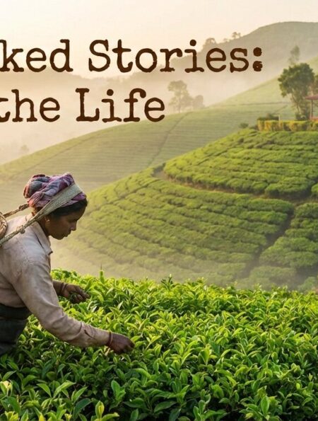 Hand- picked stories: A day in the life at Kapnapahar Tea Estate