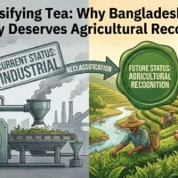 Reclassifying Tea: Why Bangladesh’s Tea Industry Deserves Agricultural Recognition